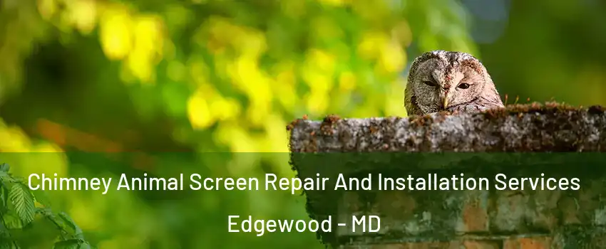  Chimney Animal Screen Repair And Installation Services Edgewood - MD