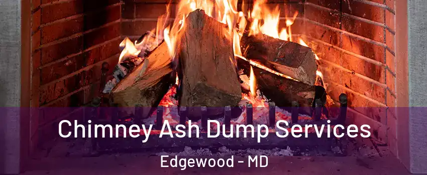  Chimney Ash Dump Services Edgewood - MD