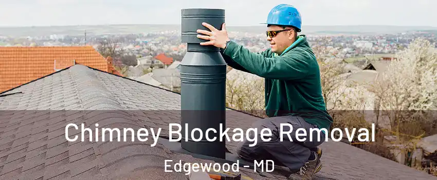  Chimney Blockage Removal Edgewood - MD