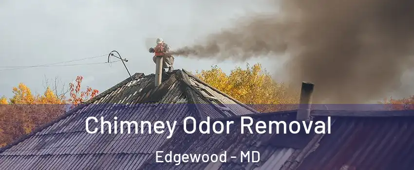  Chimney Odor Removal Edgewood - MD