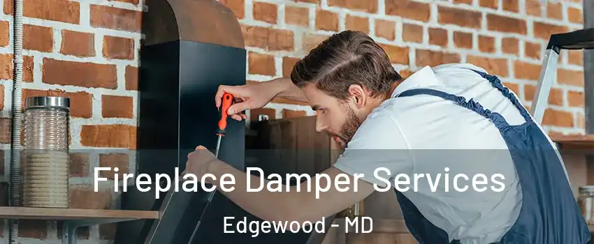  Fireplace Damper Services Edgewood - MD