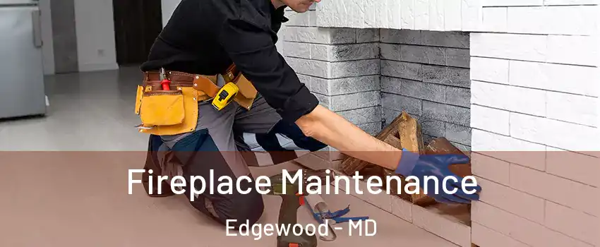  Fireplace Maintenance Edgewood - MD