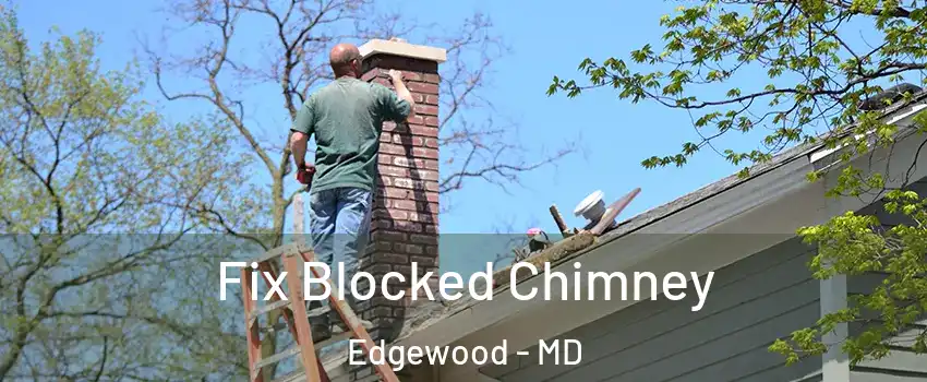  Fix Blocked Chimney Edgewood - MD