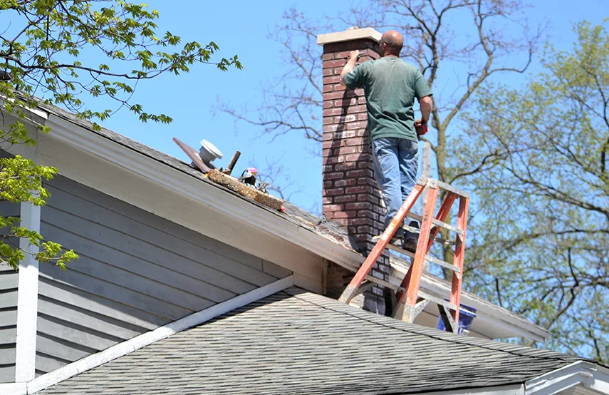 Chimney & Fireplace Inspections Services in Edgewood, MD