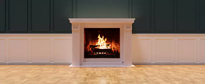 Napoleon Electric Fireplaces Inspection Service in Edgewood, Maryland