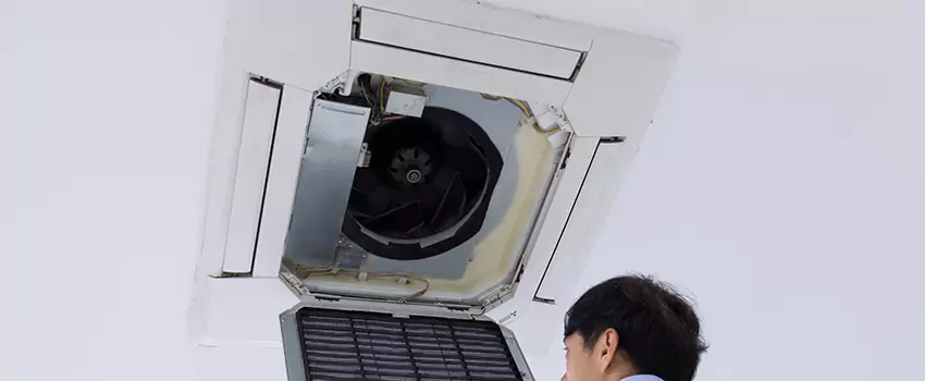Benefits of Professional Air Duct Cleaning in Edgewood, Maryland