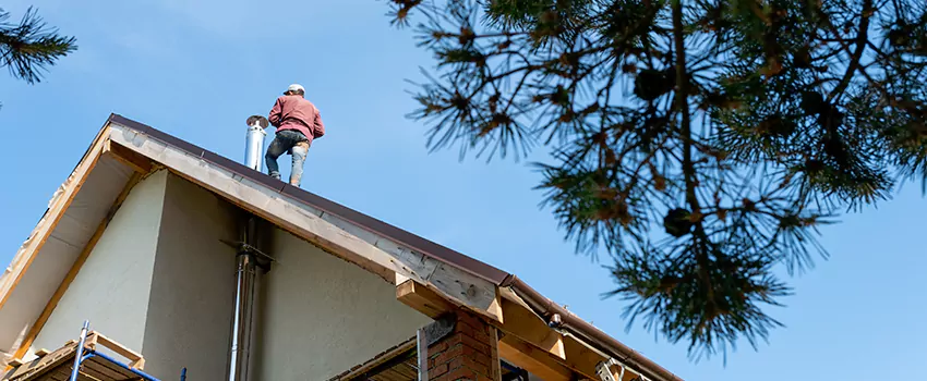 Birds Removal Contractors from Chimney in Edgewood, MD
