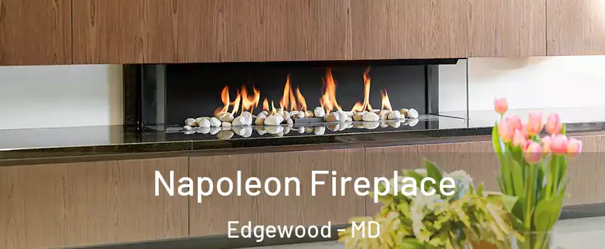  Napoleon Fireplace Edgewood - MD