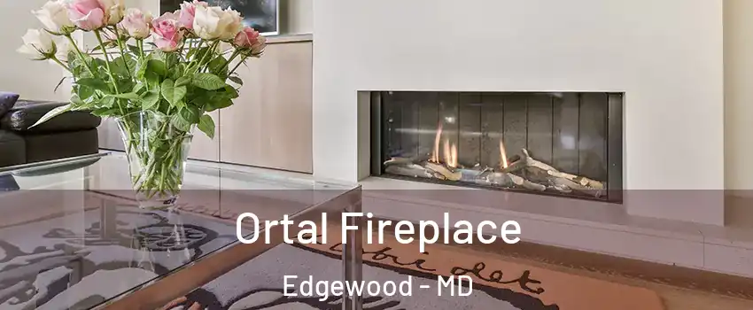  Ortal Fireplace Edgewood - MD